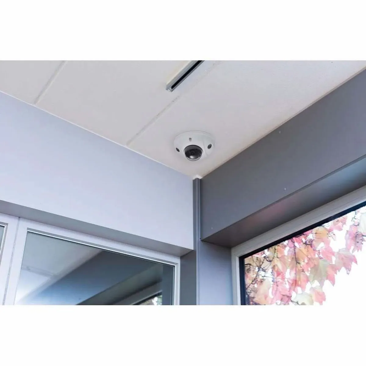 ABUS 4 MP IP-Mini-Dome-Kamera, dezente Überwachung, IR-LEDs, 24/7 Einsatz 4