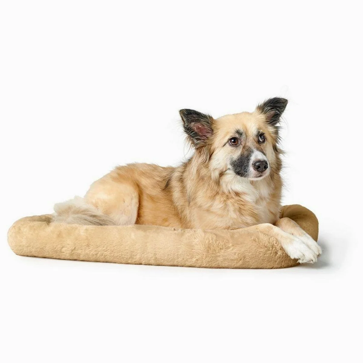 Hunter Vermont Cozy Hundematte, vielseitig einsetzbar, rutschhemmend, waschbar 2