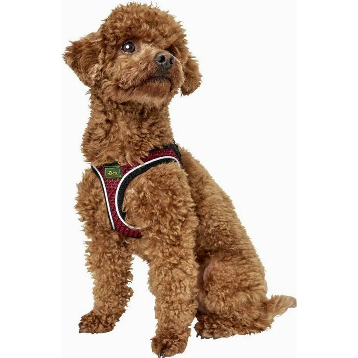 Hunter Hundegeschirr Hilo Comfort S, leichtes Material, optimale Passform, hohe Funktionalität 3