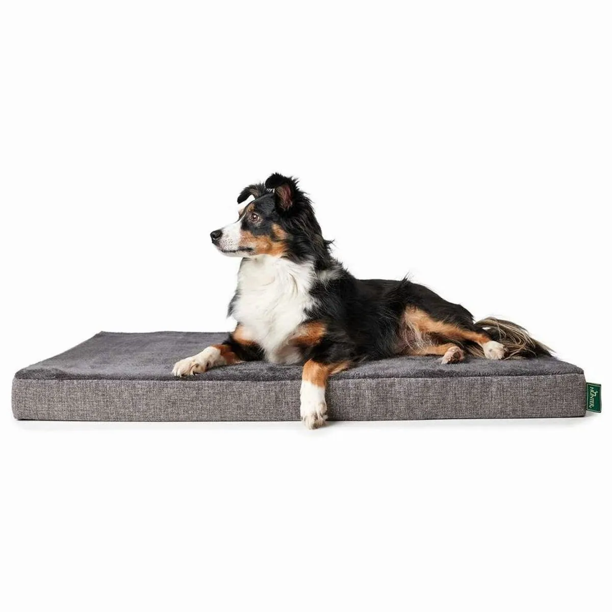 Hunter Tierbedarf Tierbett TIRANO, orthopädische Hundematte, druckentlastend 5