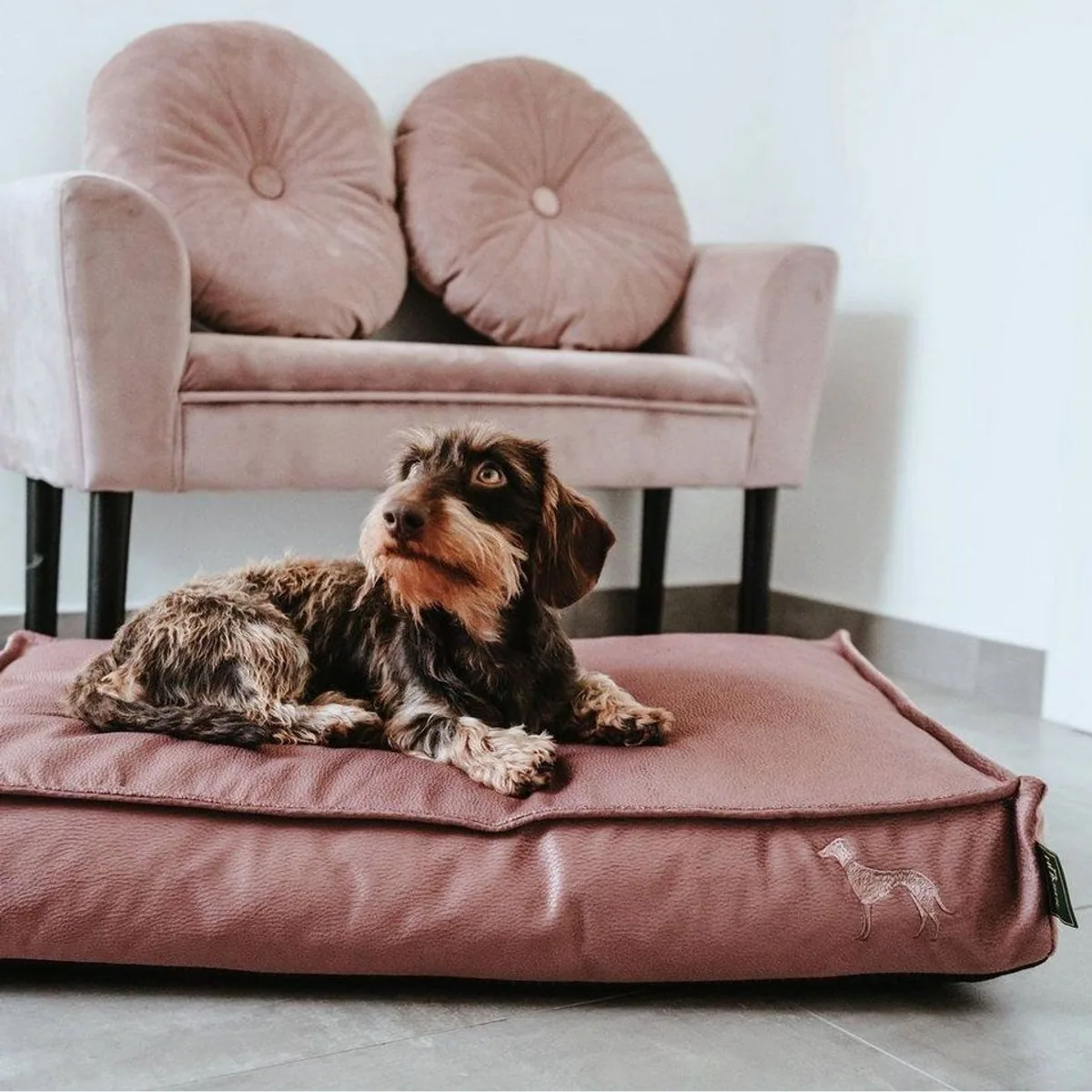 Hunter Merida orthopädisches Hundekissen, ideal für Komfort und Unterstützung 5