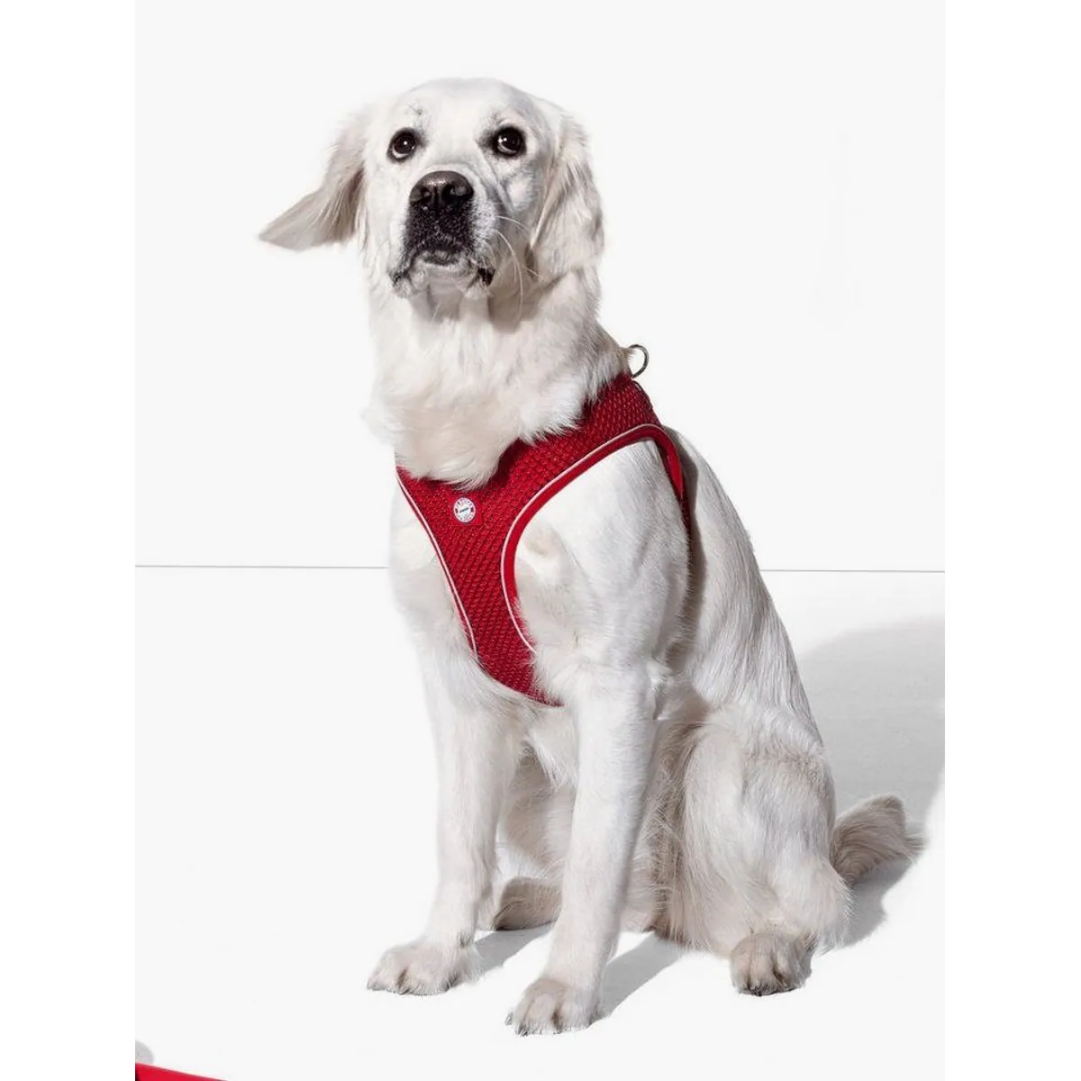 Hunter Hilo Comfort Hundegeschirr, atmungsaktiv und reflektierend 2