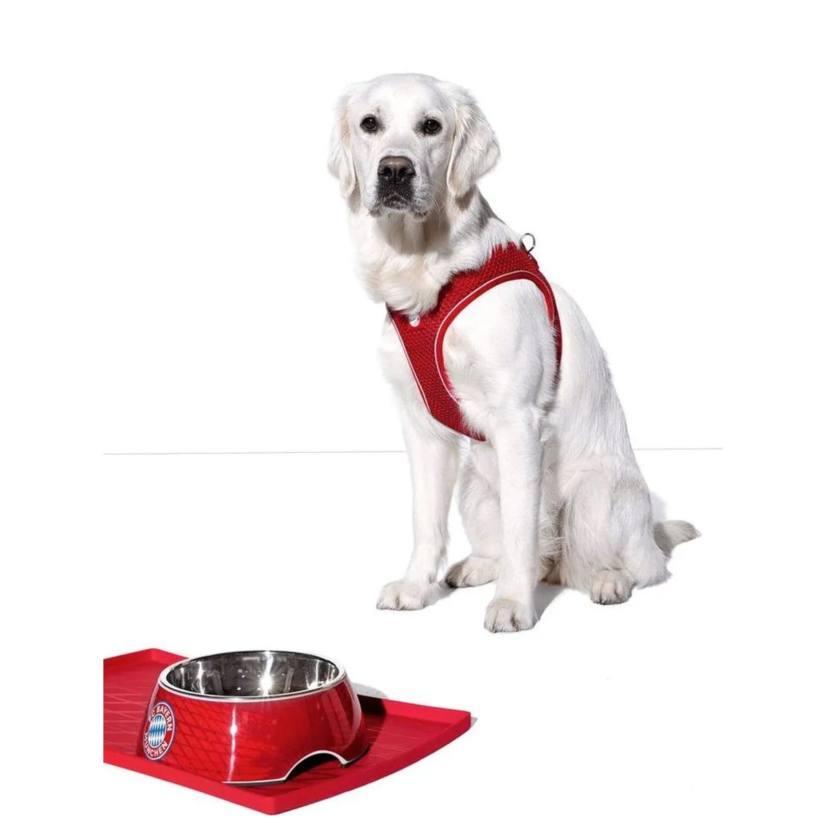Hunter Hilo Comfort Hundegeschirr, atmungsaktiv und reflektierend 3