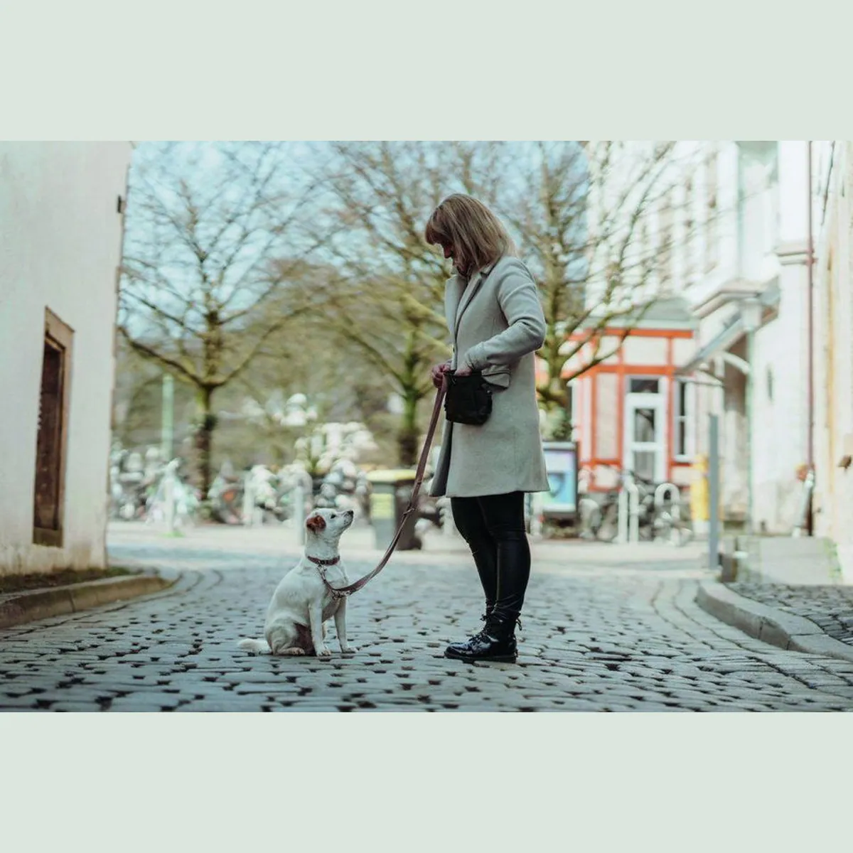 Hunter Inari Führleine für Hunde, verstellbar, weich und reißfest — 200 cm, beige 4