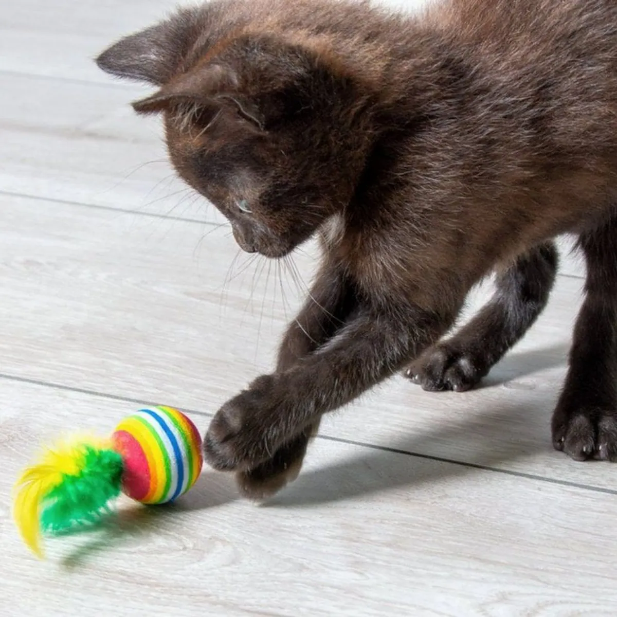 Karlie Regenbogenbälle mit Feder, 4er Set, weiches Schaumgummi, farbenfroh und spielerisch 3