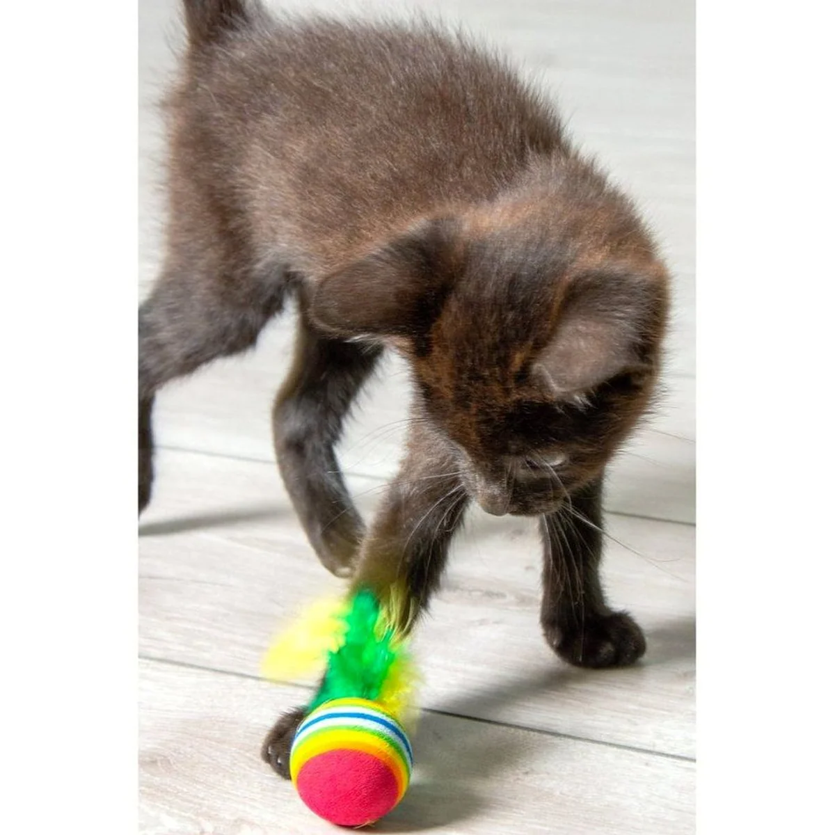 Karlie Regenbogenbälle mit Feder, 4er Set, weiches Schaumgummi, farbenfroh und spielerisch 4
