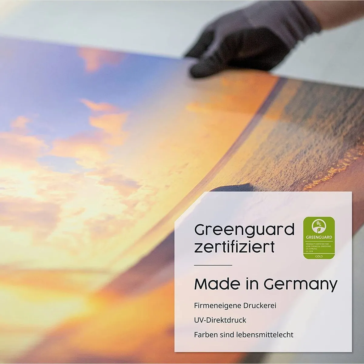 Könighaus Infrarotheizung Bild-Serie 1200W, Ultra HD Druck, angenehme Strahlungswärme 5