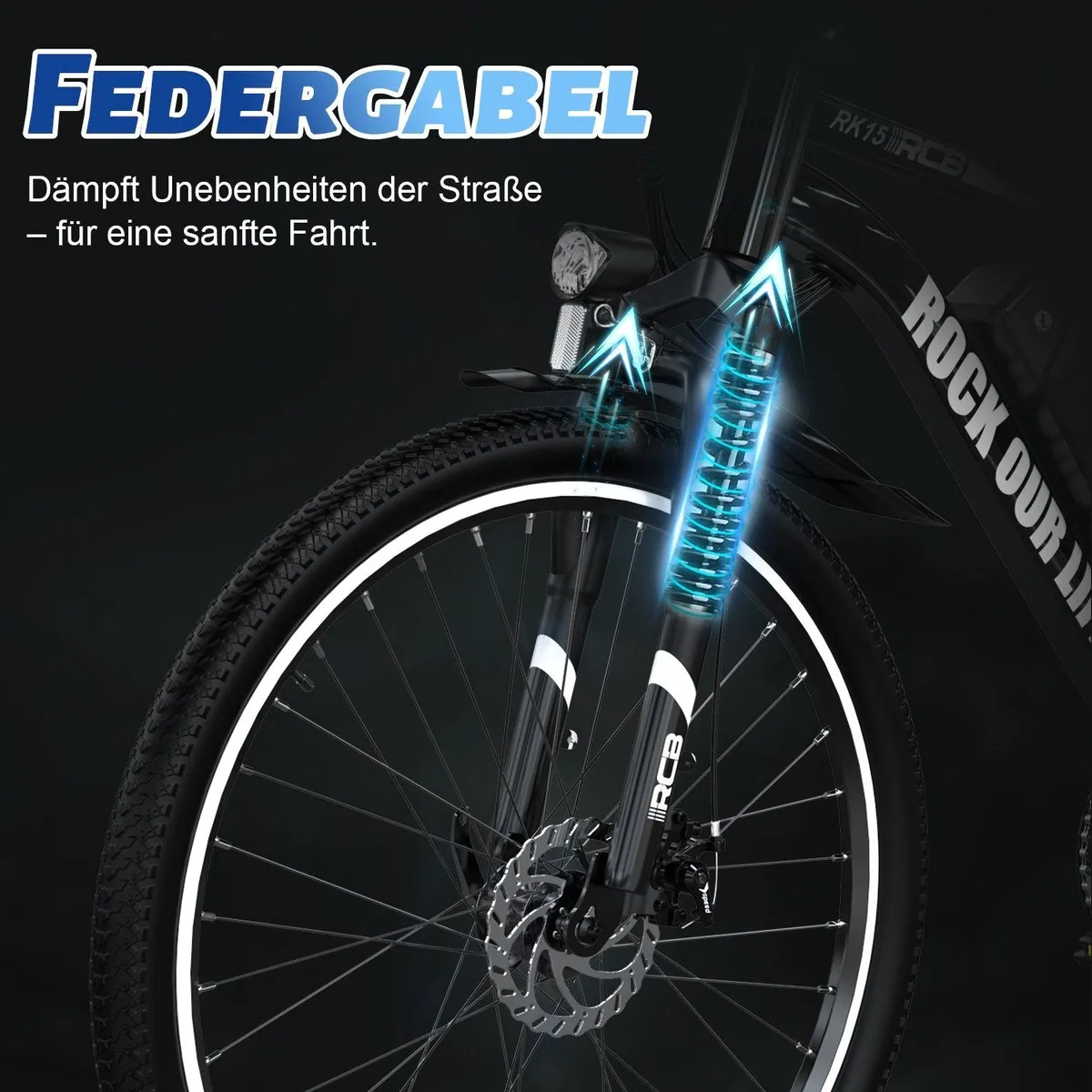 RCB RK15 Pedelec, 26 Zoll, 250W Motor, 30-50 km Reichweite 4