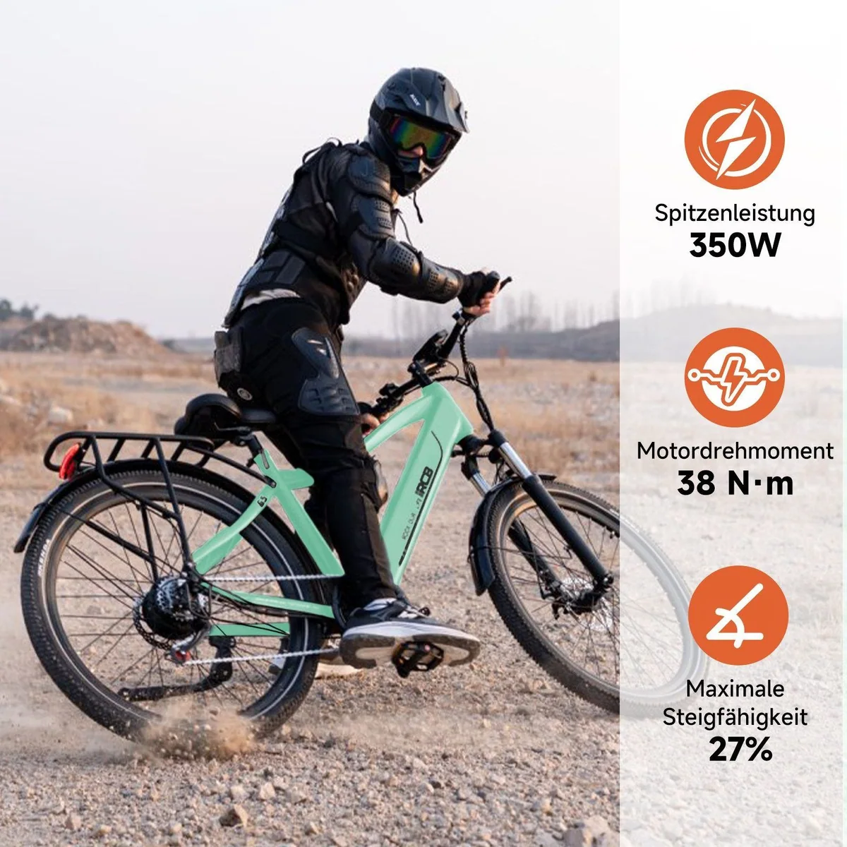 RCB E-Bike Pedelec G5, kraftvoller Motor, 7-Gang-Schaltung, integrierter Akku — max. 100 km Reichweite 3