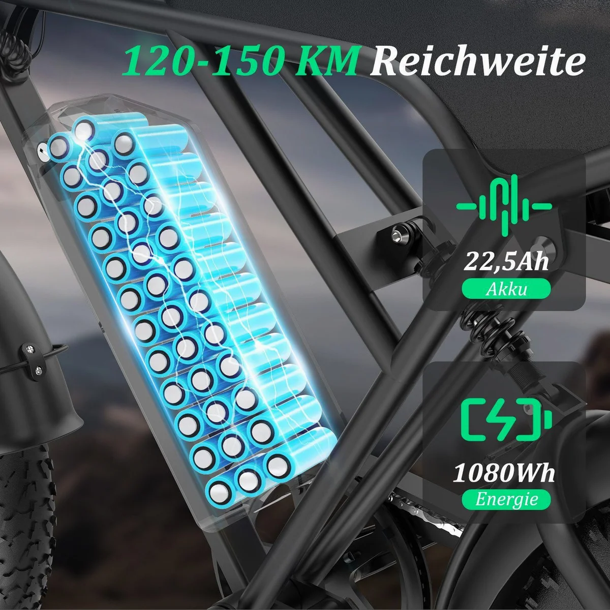 RCB E-Bike Pedelec G19, 1365W Leistung, 180 km Reichweite, APP-Steuerung 3