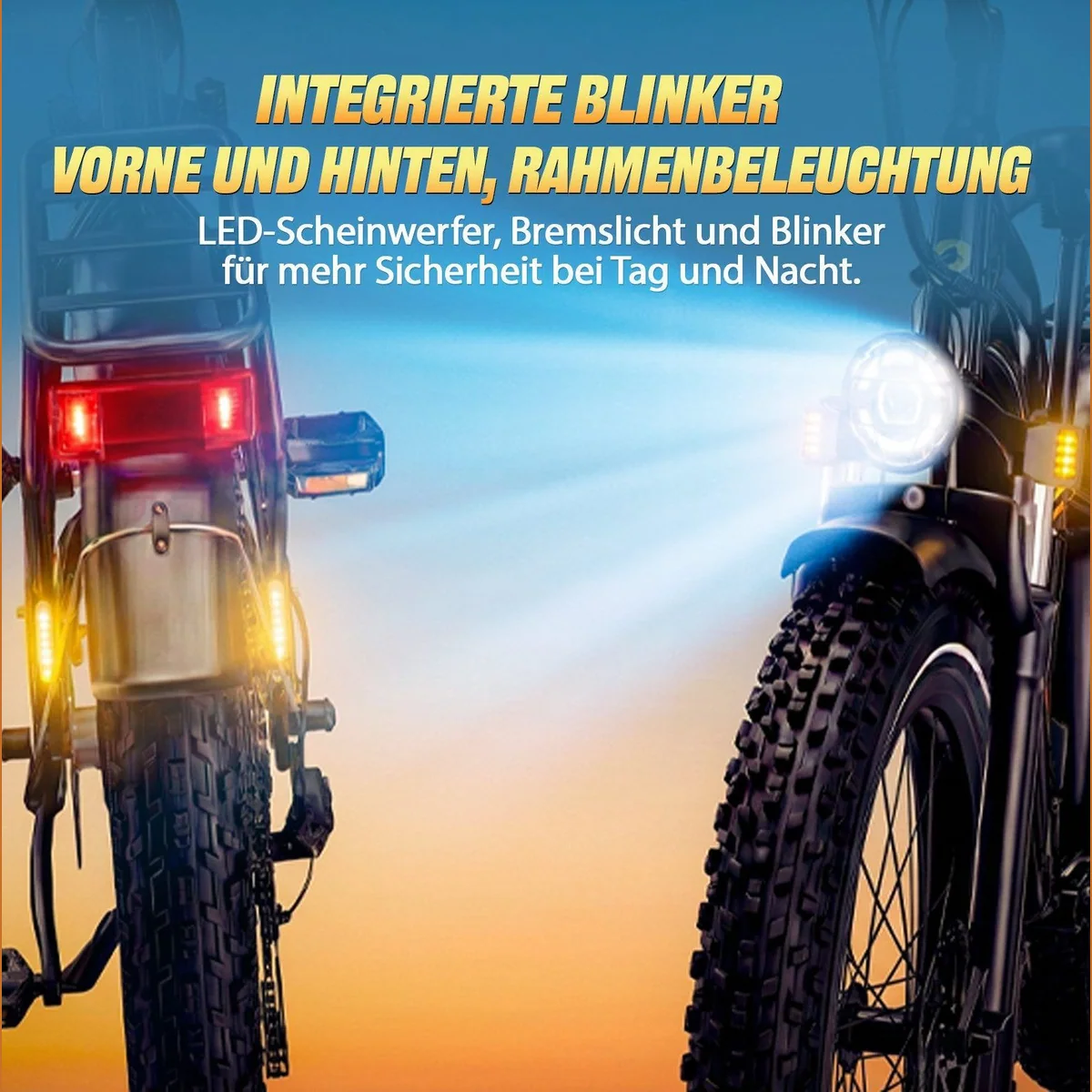 Rincc RN60 E-Bike, 48V 20Ah Akku, Hydraulikbremsen, Farb-LCD 5