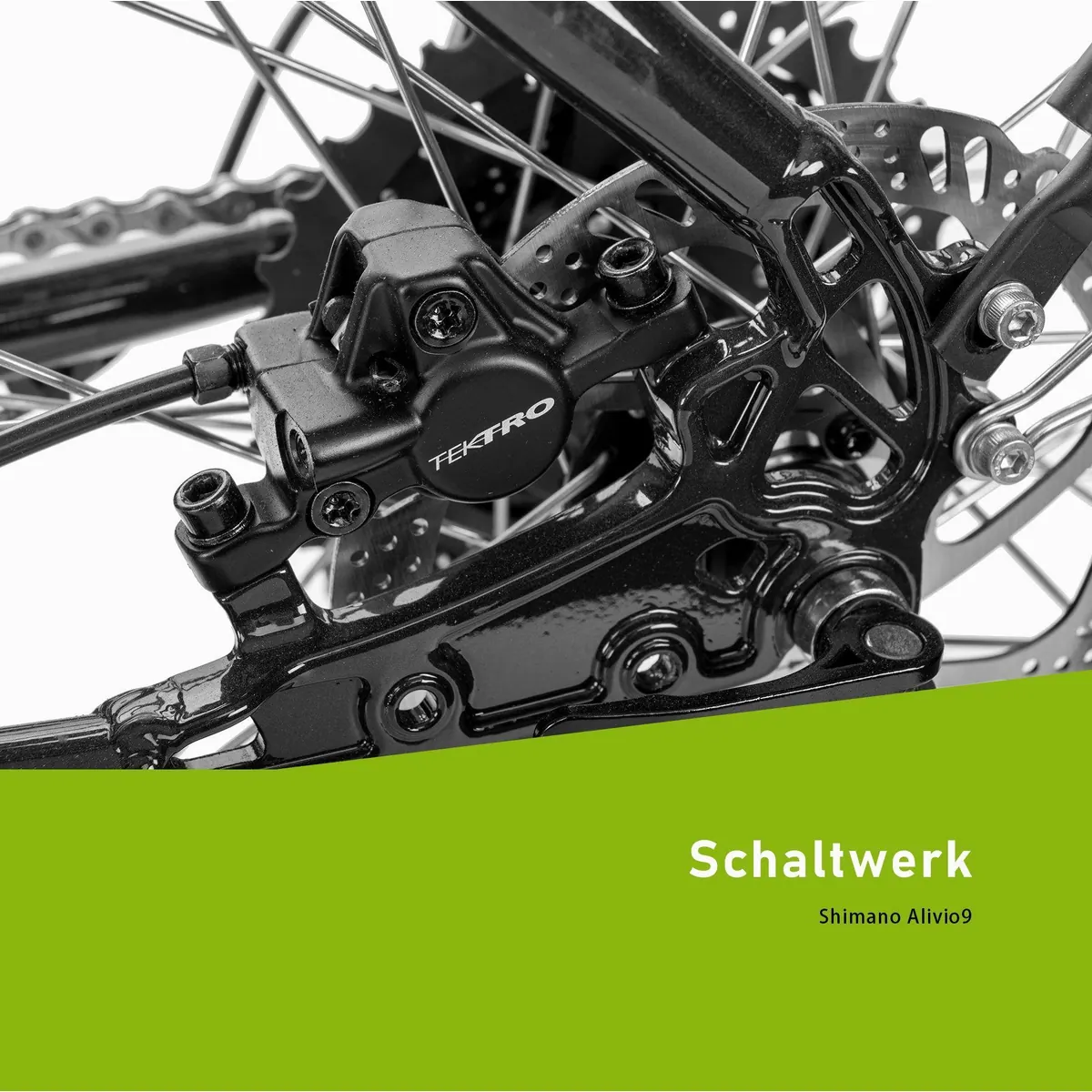 SAXONETTE E-Bike Cityrad ADVANCED SPORT, 3-Gang Shimano Alivio, integrierter Akku, leistungsstarker Heckmotor 2