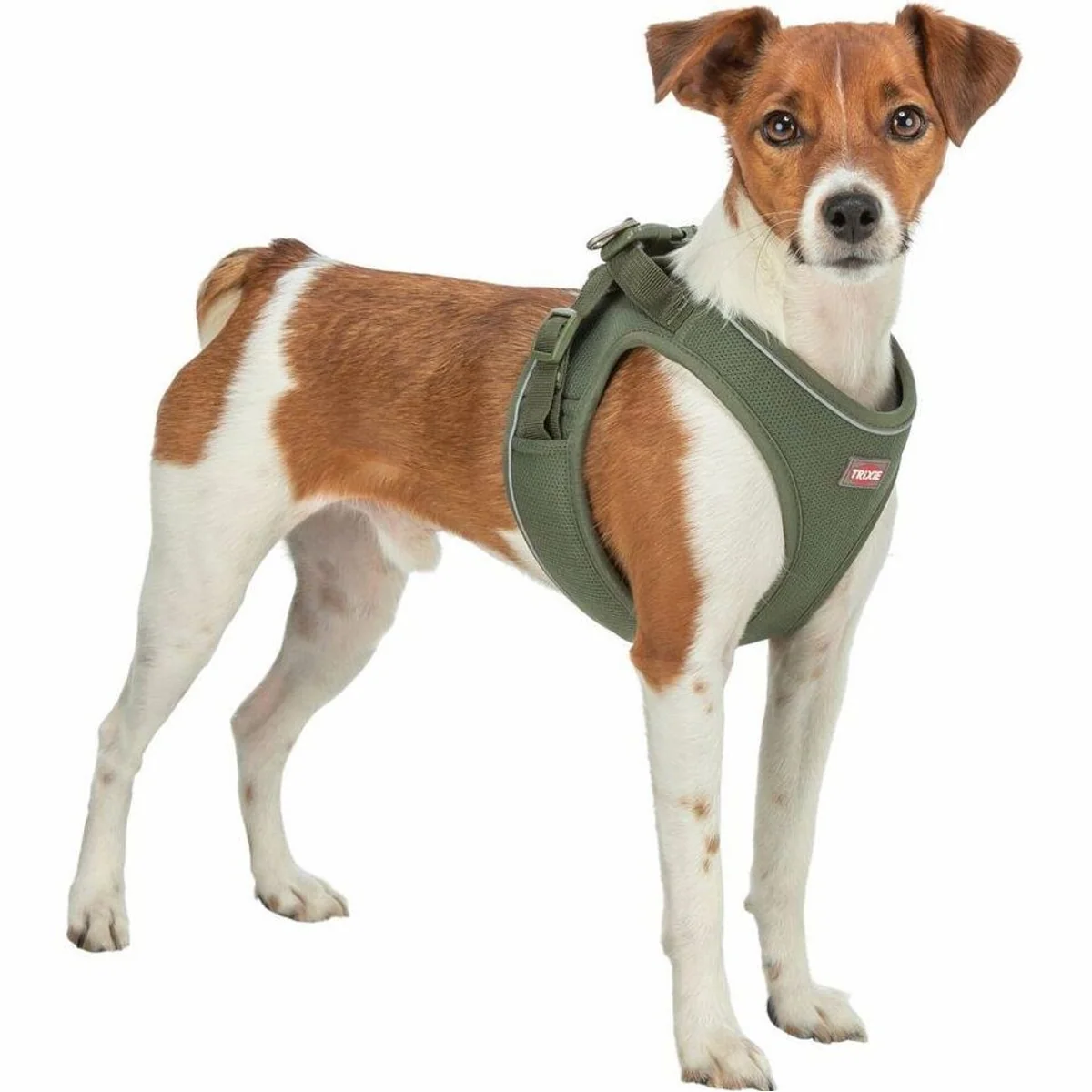 Trixie Premium UrbanVest Hundegeschirr, atmungsaktiv, verstellbarer Bauchgurt, reflektierende Paspeln 2