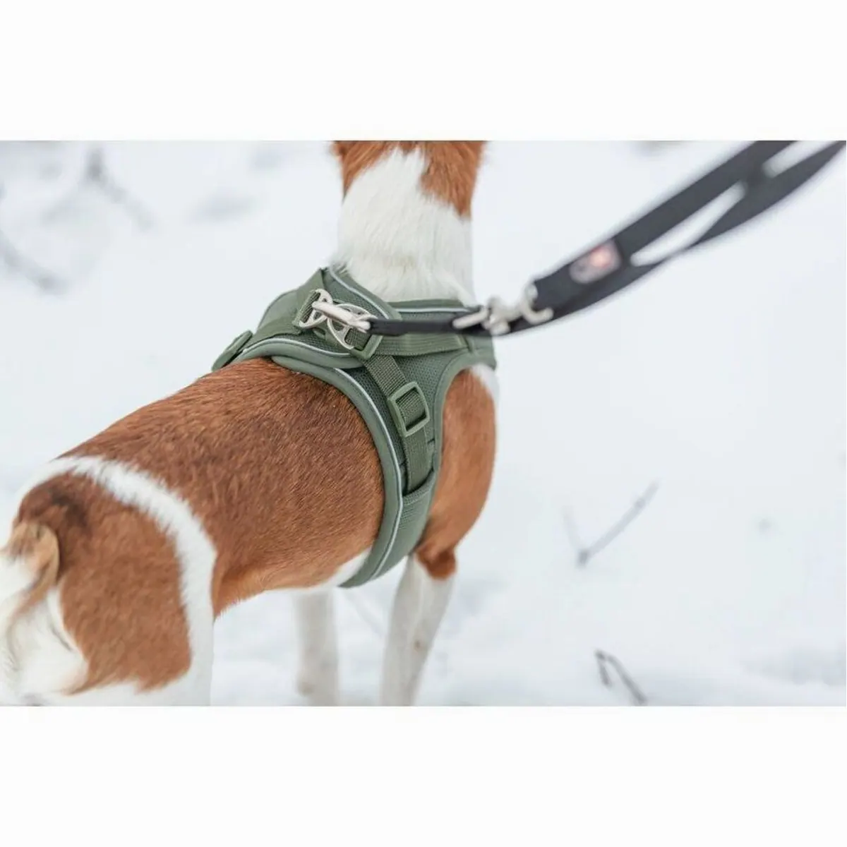 Trixie Premium UrbanVest Hundegeschirr, atmungsaktiv, verstellbarer Bauchgurt, reflektierende Paspeln 3