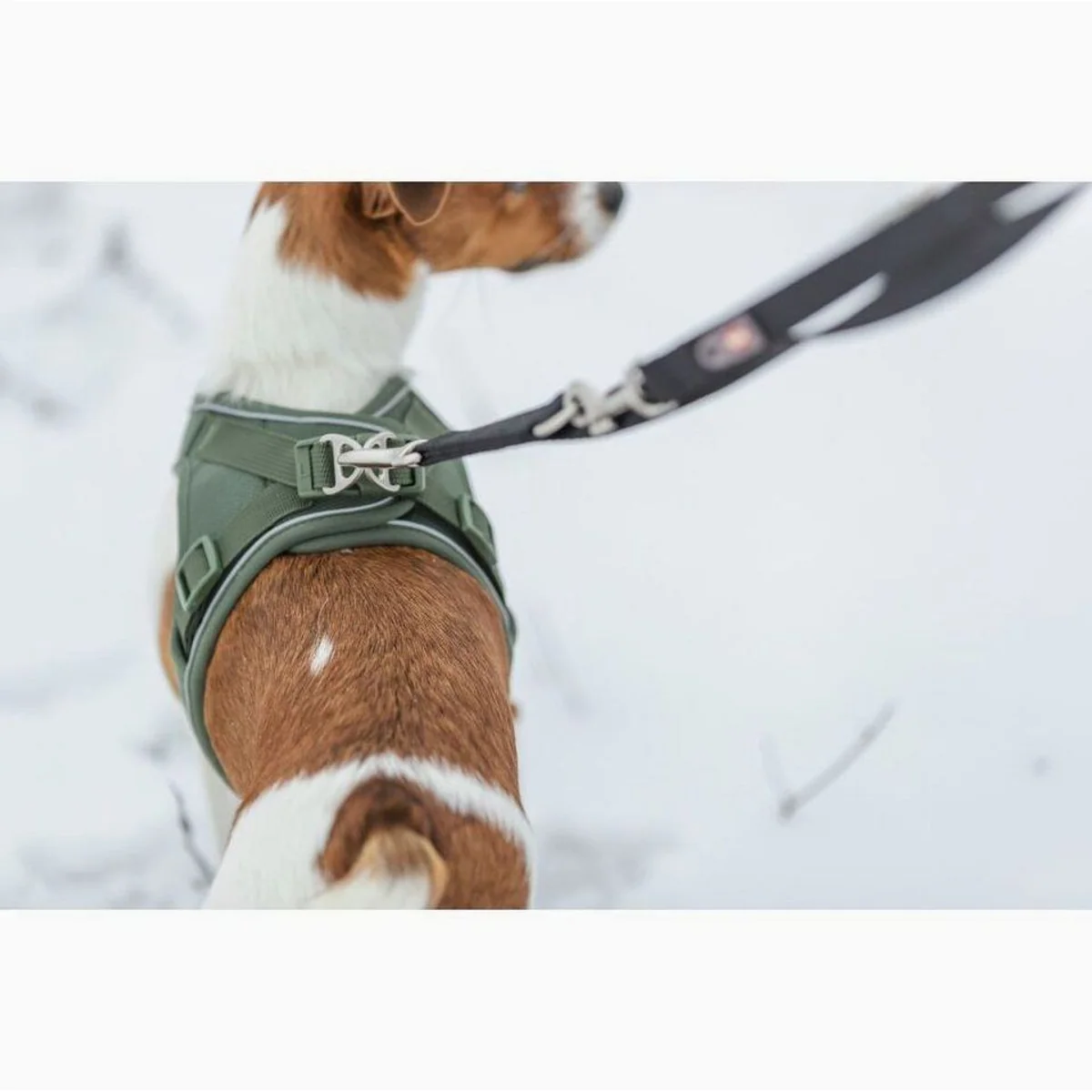 Trixie Premium UrbanVest Hundegeschirr, atmungsaktiv, verstellbarer Bauchgurt, reflektierende Paspeln 4