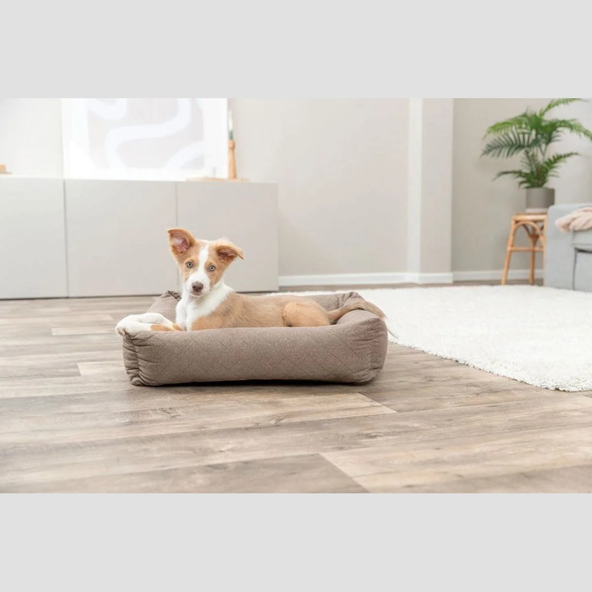 Trixie Hundebett Caliente, braun, komfortable Polsterung 5