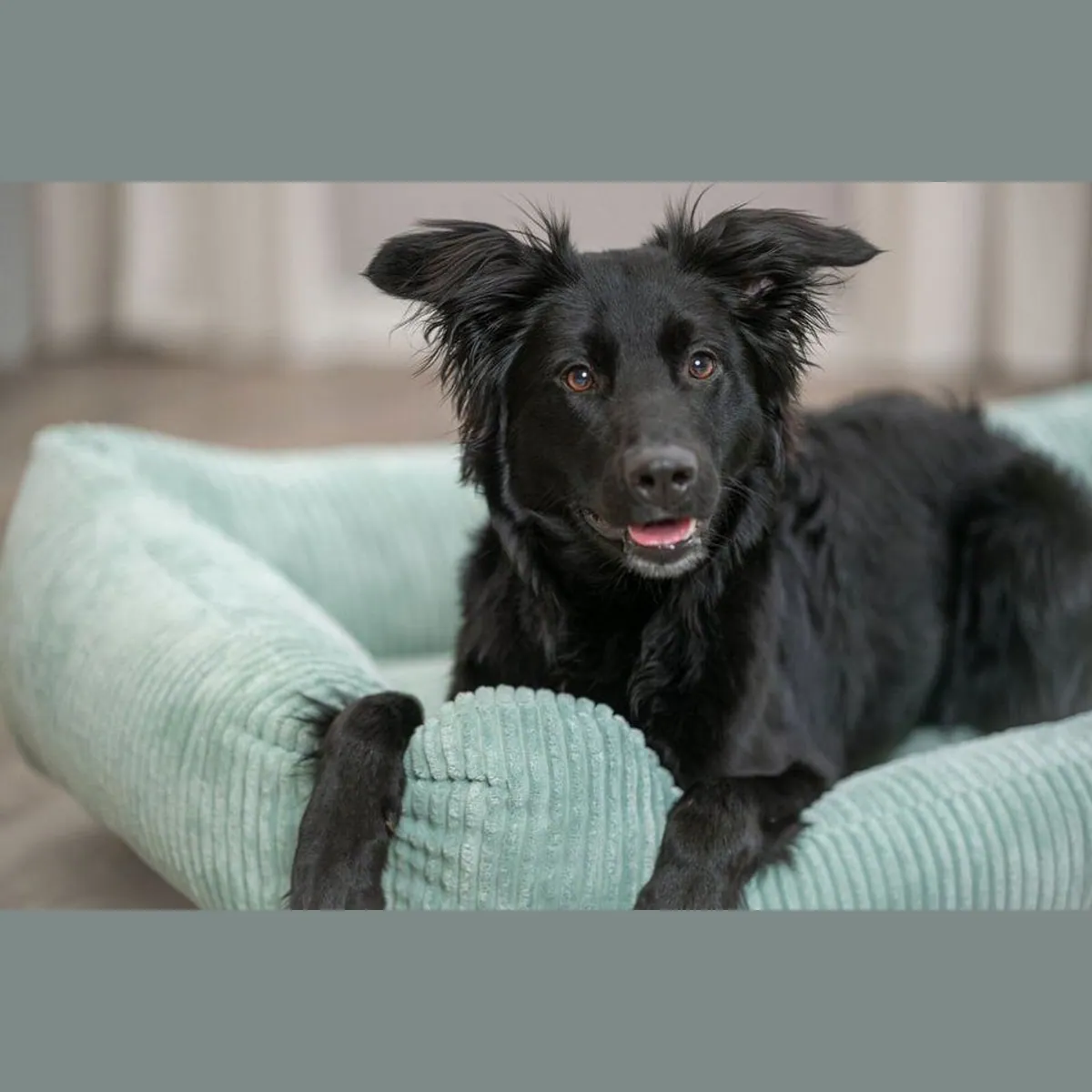 Trixie Hundebett Vital Jonna, salbei, 60 × 50 cm — ergonomische Form, pflegeleichter Bezug, rutschfester Boden 2