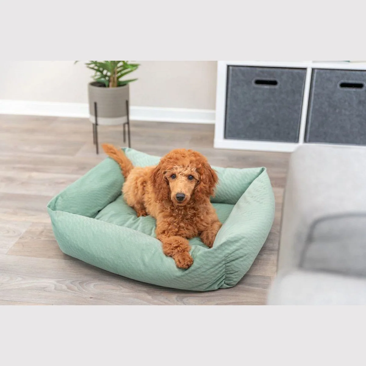 Trixie Hundebett Alena, edler Samtstoff, rutschfeste Unterseite, waschbarer Bezug — 60 × 50 cm 3