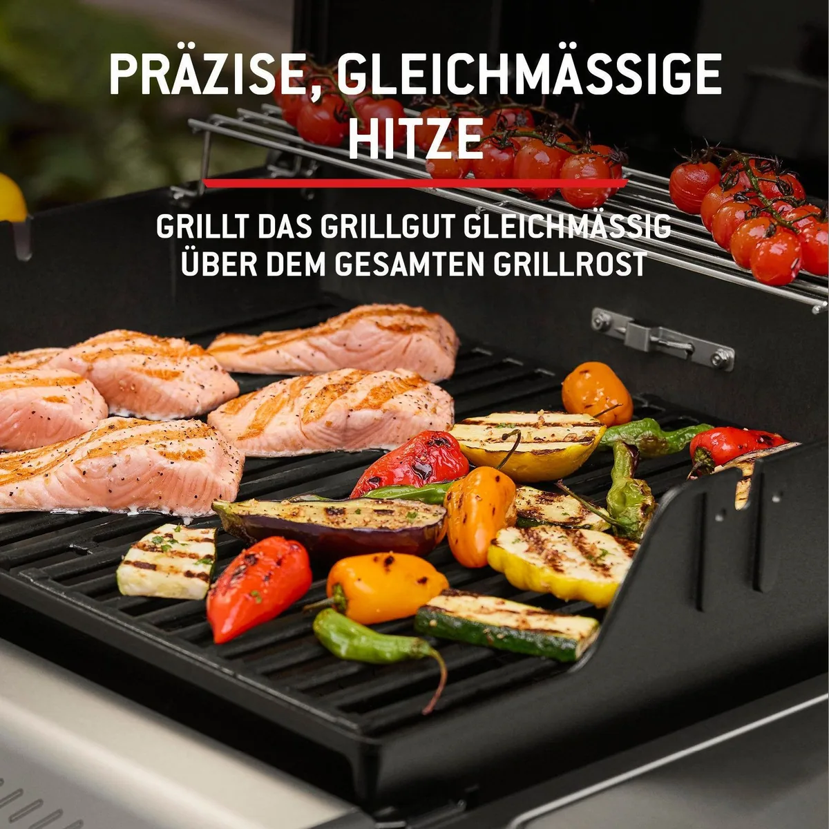 Weber Spirit E-310 Gasgrill, 3 Brenner, große Grillfläche 4